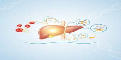 Gilbert Sendromu Nedir? Gilbert Sendromu Belirtileri, Bilirubin Yüksekliği ve Tedavisi